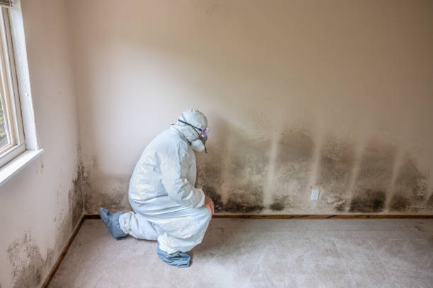 Crawl Space Mold Removal in Bratenahl, OH